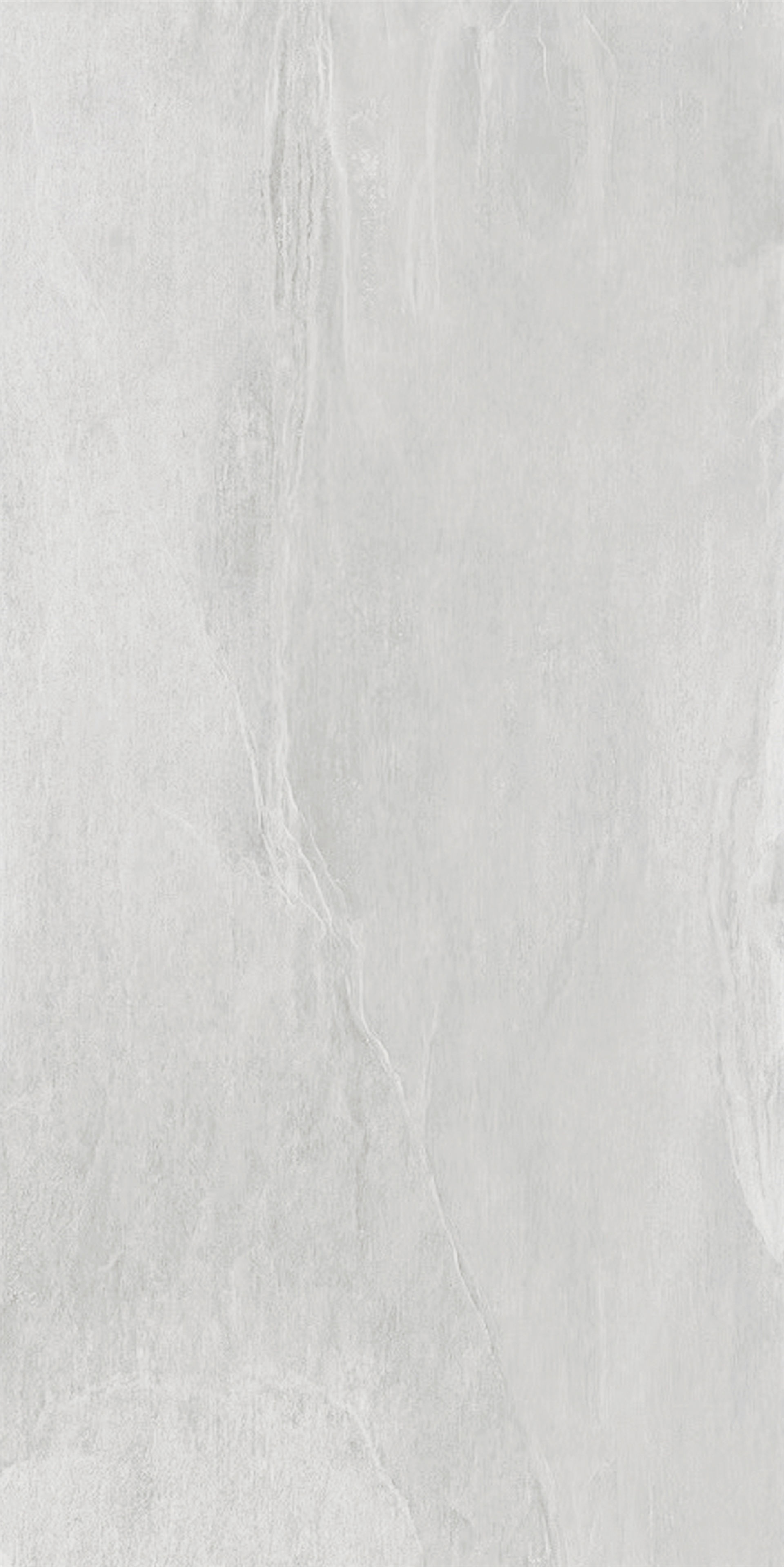 砺C12616